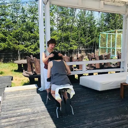 Mojo * Budeasa Mare